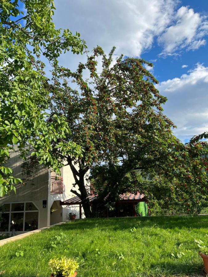 Apartament Green Valley Омиш Экстерьер фото